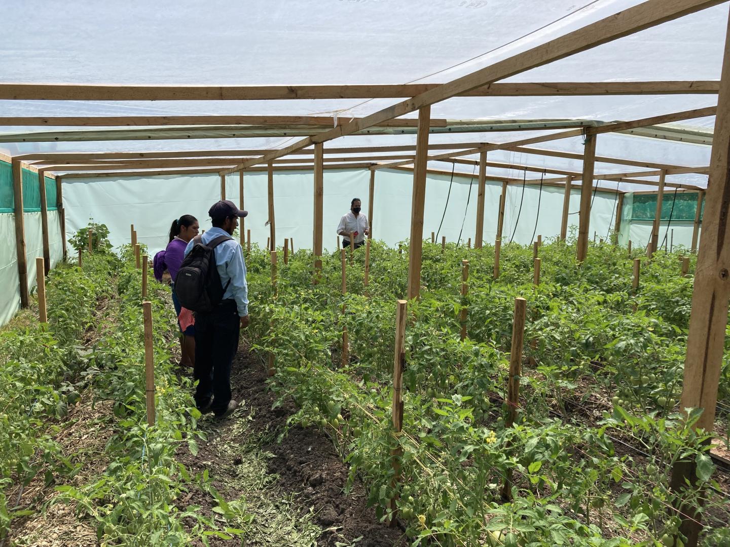 MCC staff tour a greenhouse in San José de la Nueva.