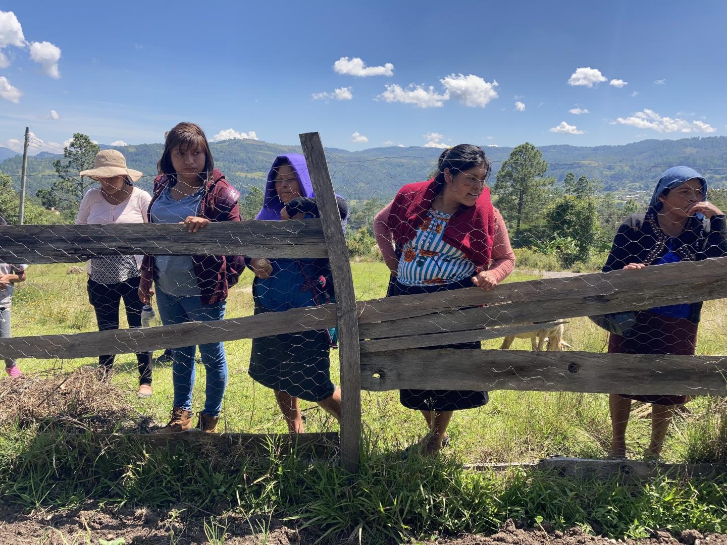 Group of community leaders looking into a goat pen.