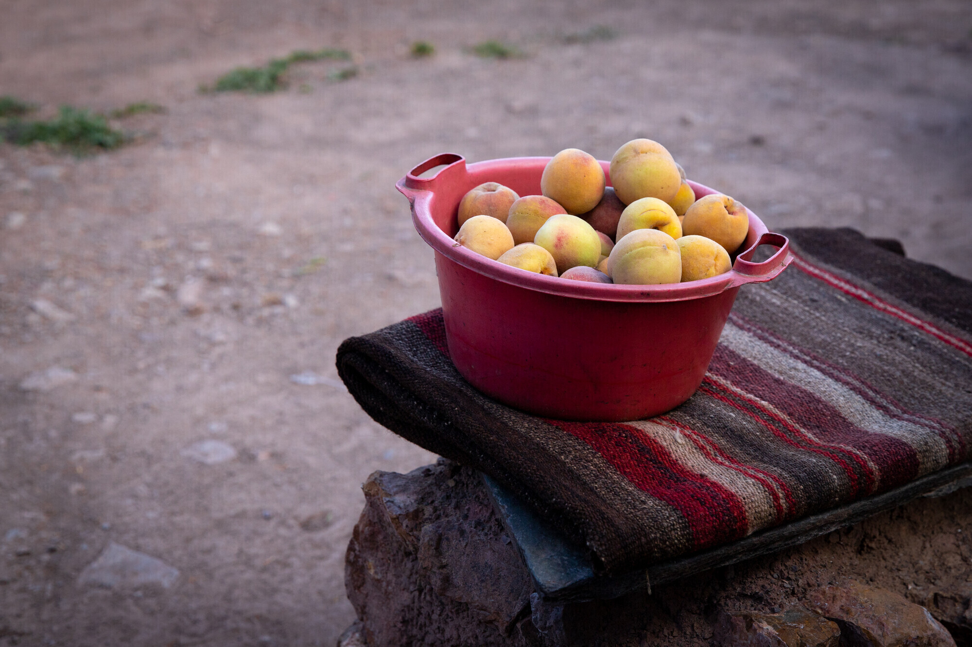 A bucket full of peaches