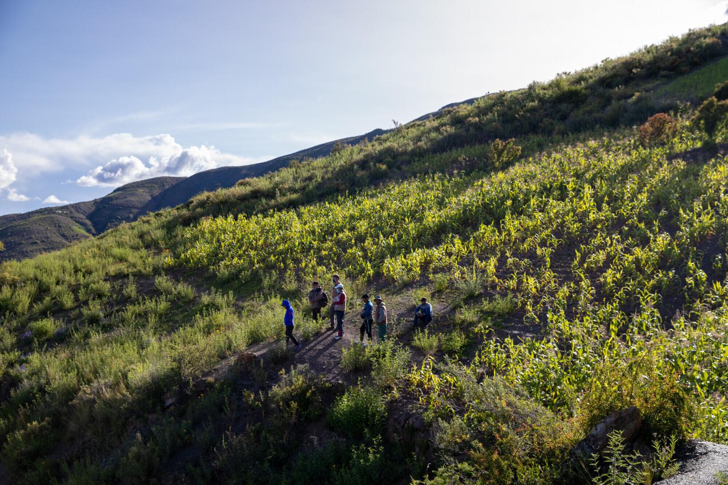 Seven people stand on a mountainside