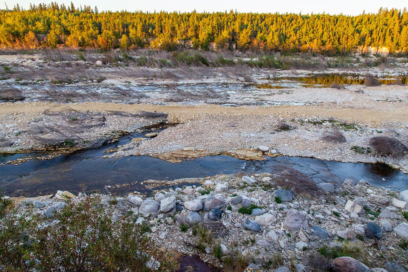 A river bed with pine trees in the backgroun