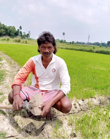 A man squats in his rice field. He is holding a gardening tool.