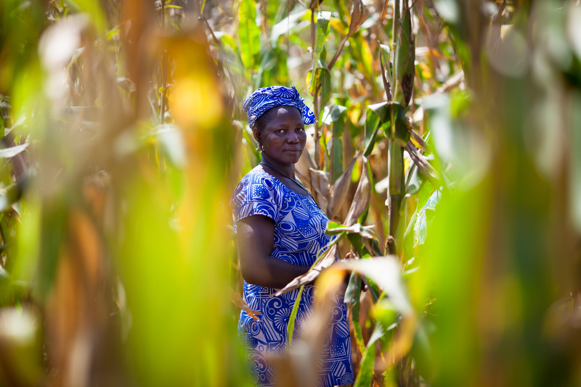 A woman stands in the middle of a field