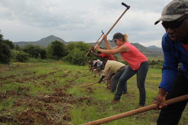 A group of people working in a field