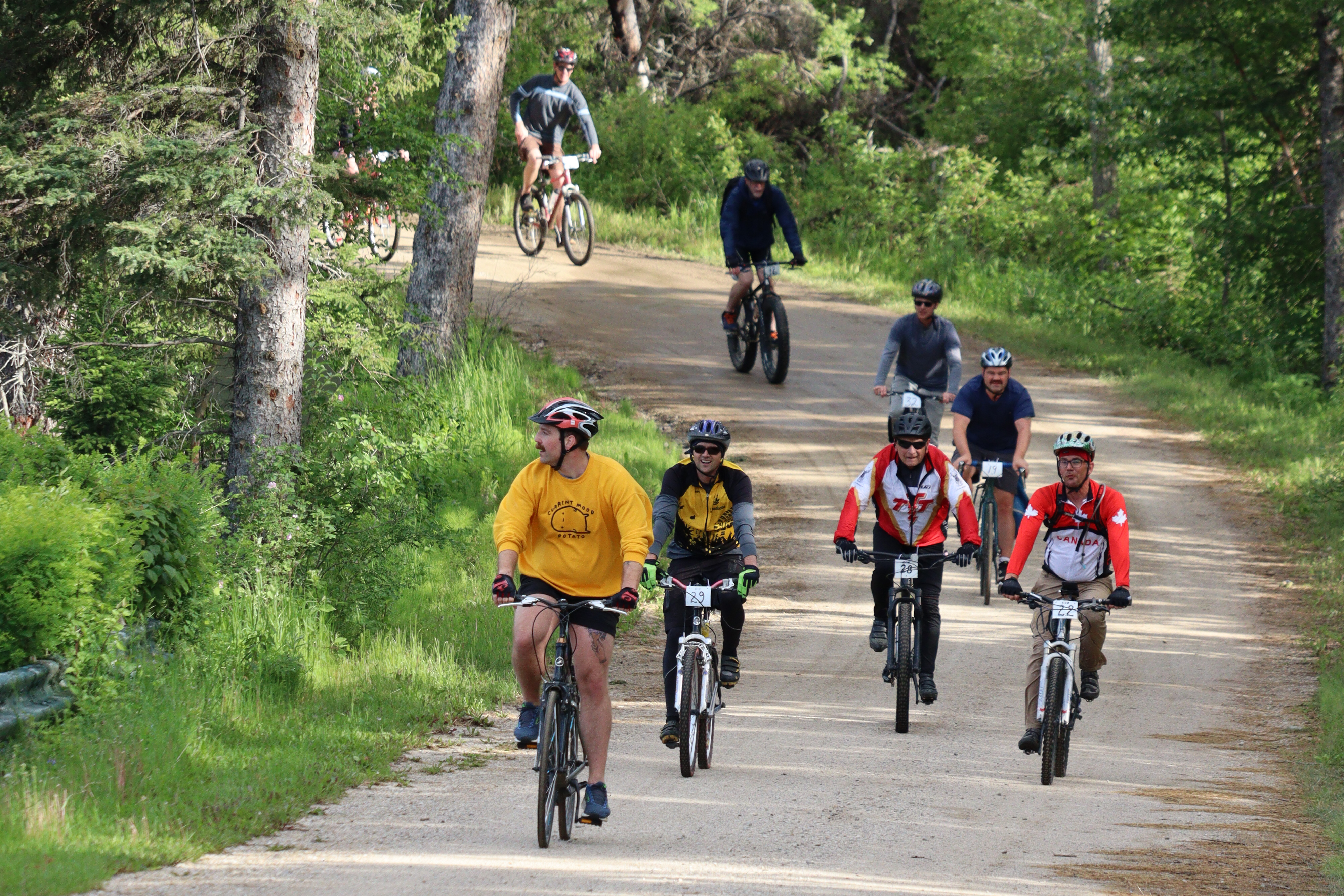 cyclists cycling down a road in a forest