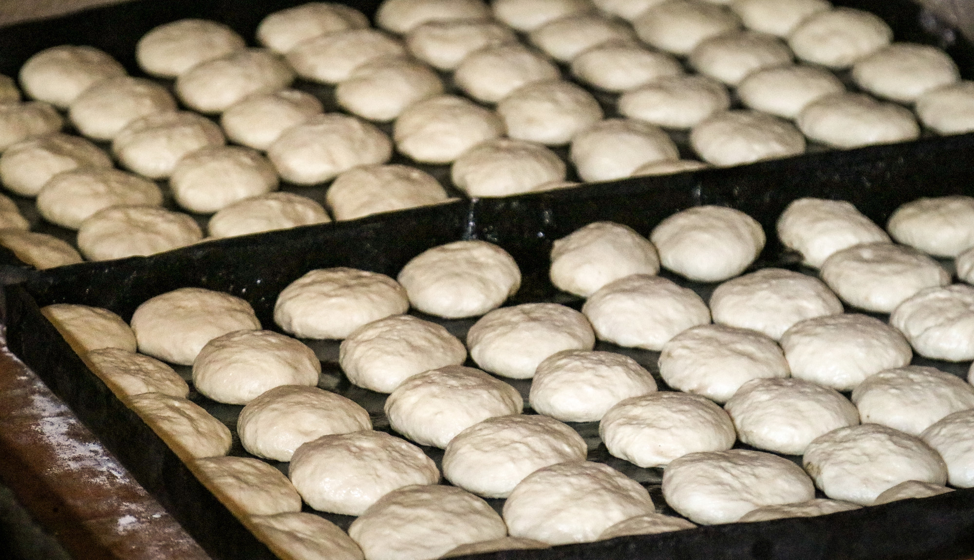 Two large trays of bun dough rising