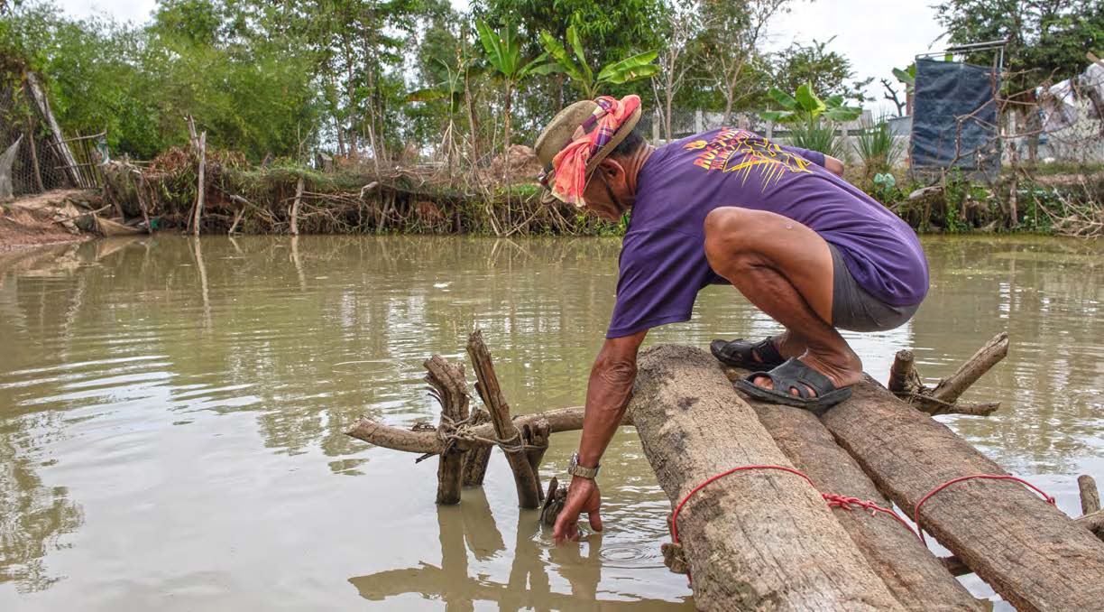 A man reaching into a fishpond