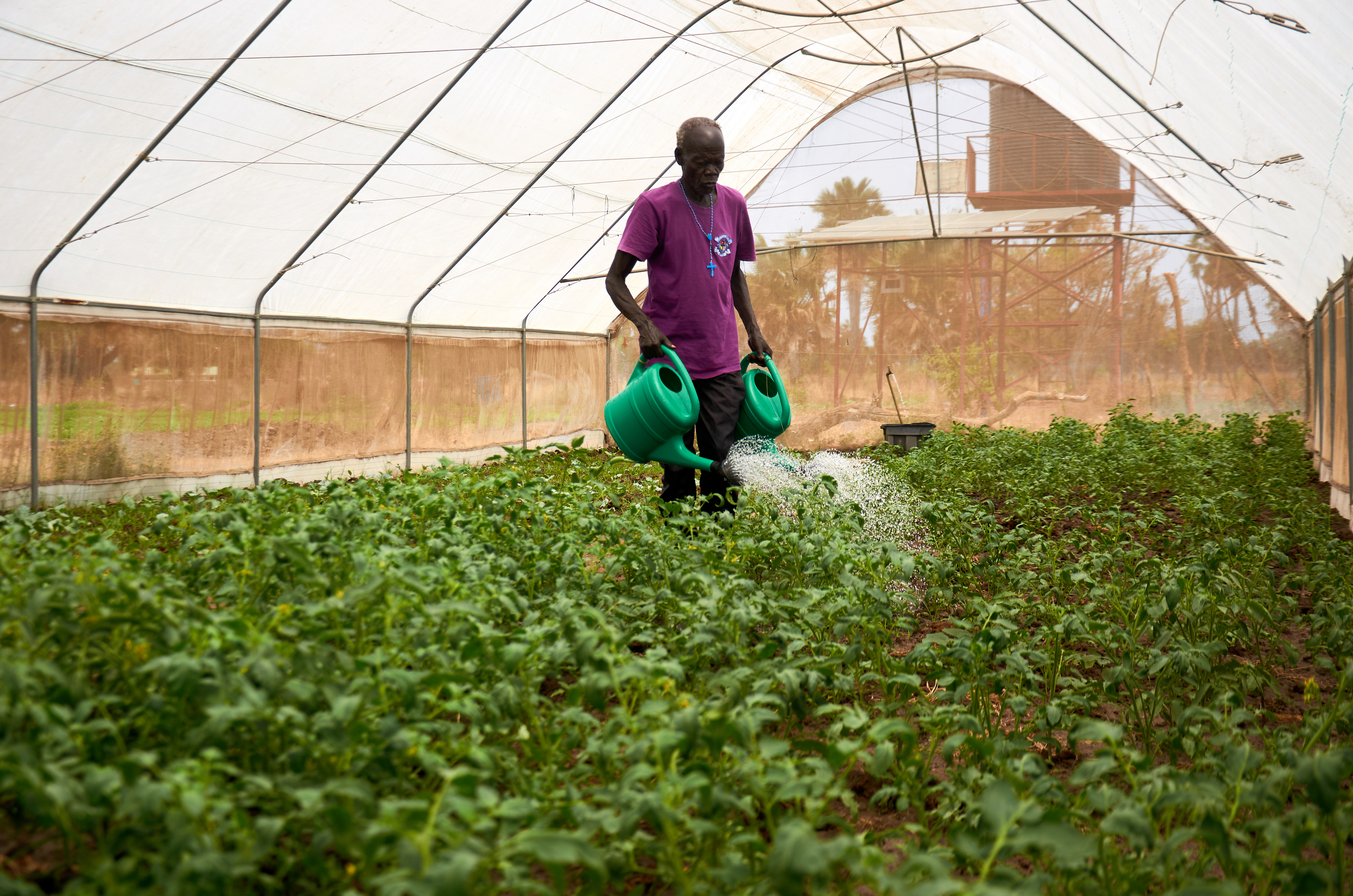 Abraham Marial Buol, gardener at Loreto Rumbek School, watering plants in the school’s greenhouse.