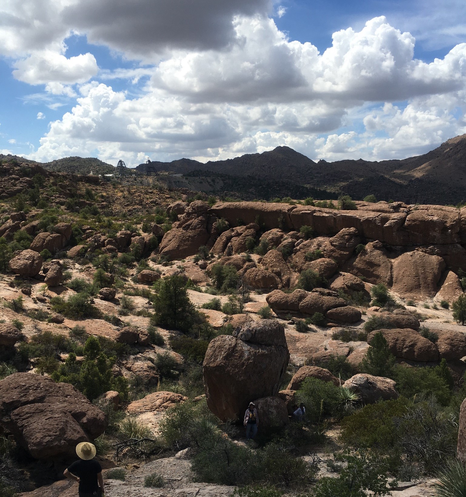 A person looking out over Oak Flat in the Tonto National Forest