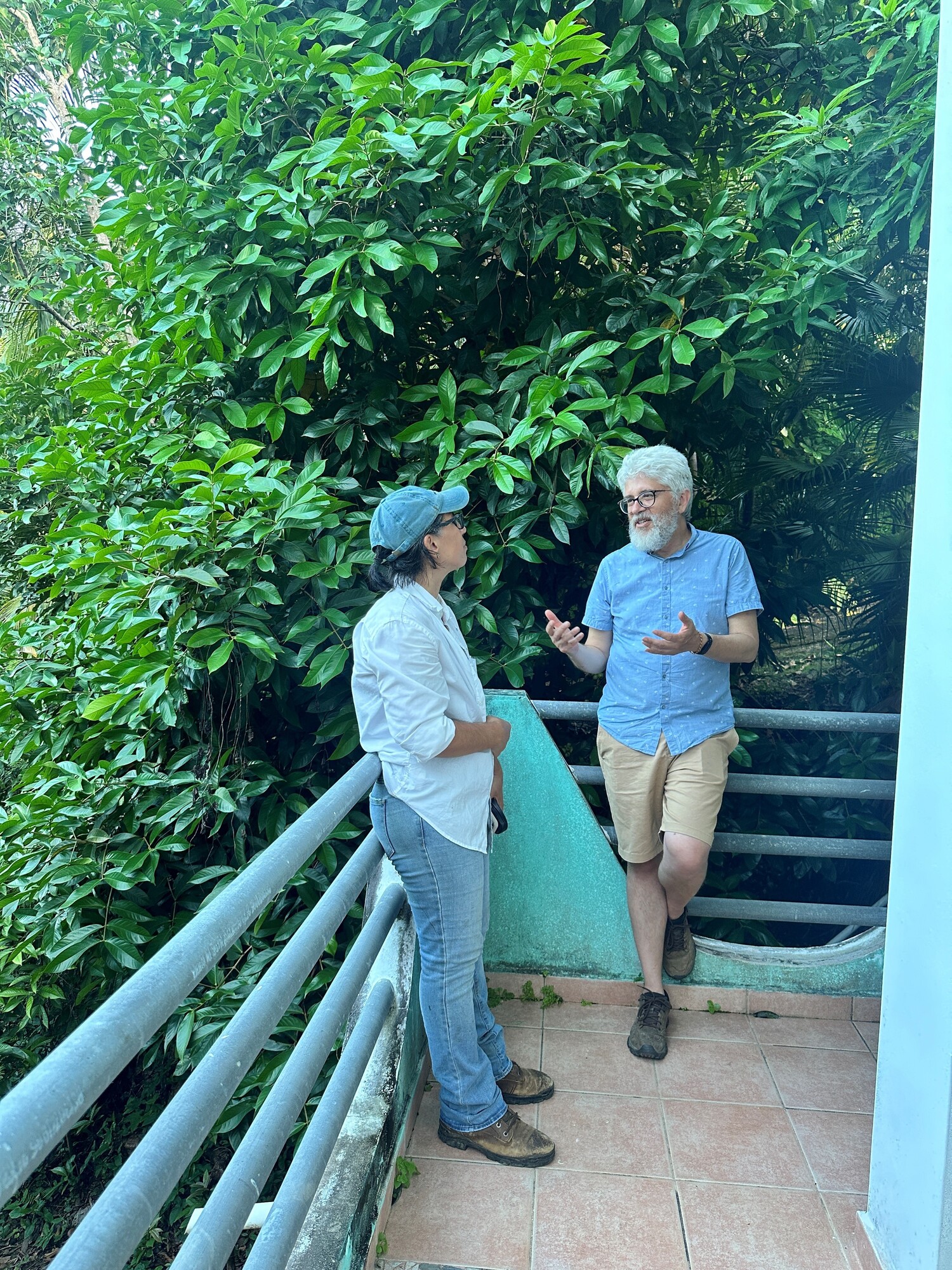 A man and woman talking on a balcony in a lush green forest