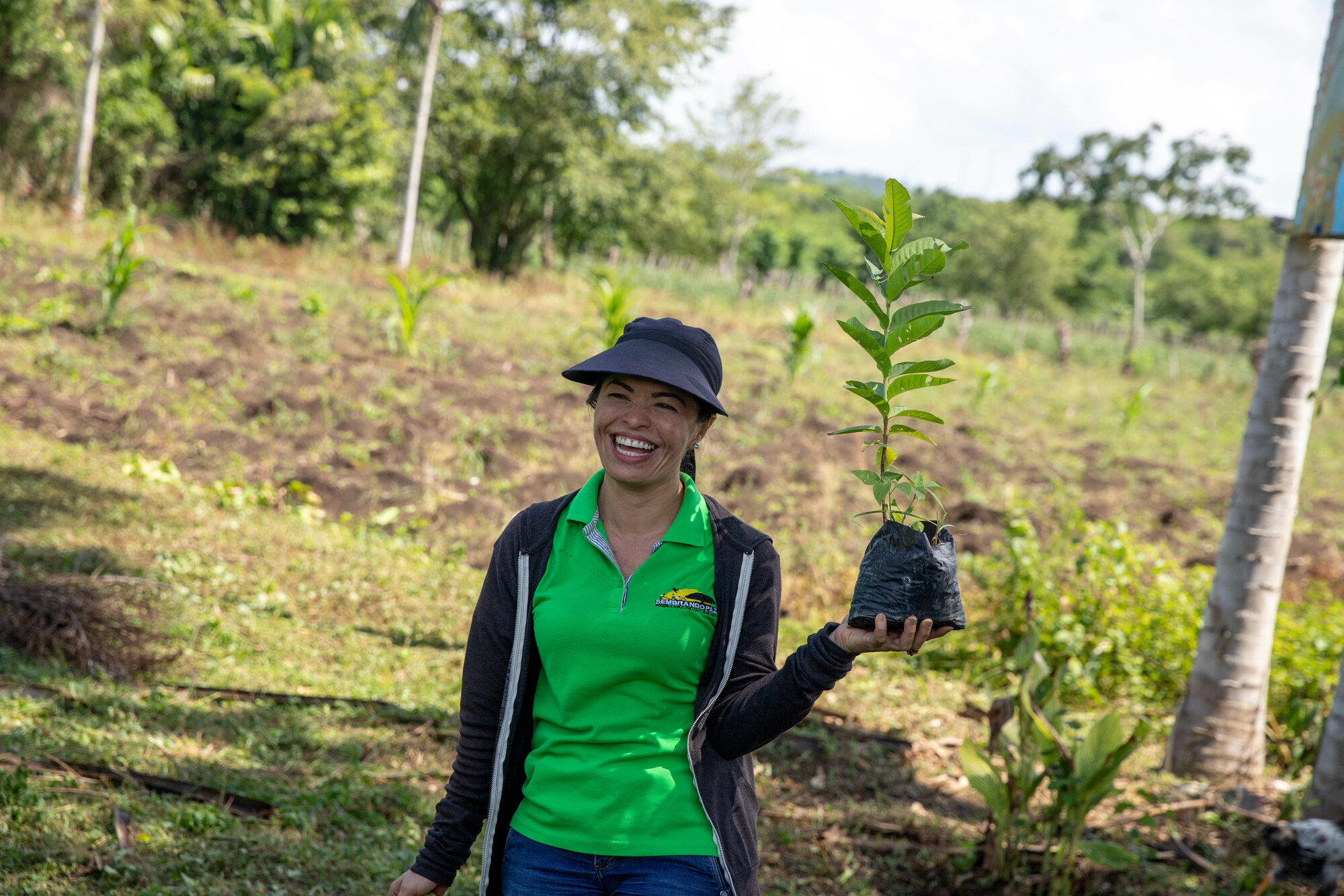 Lady holding a tree sapling.