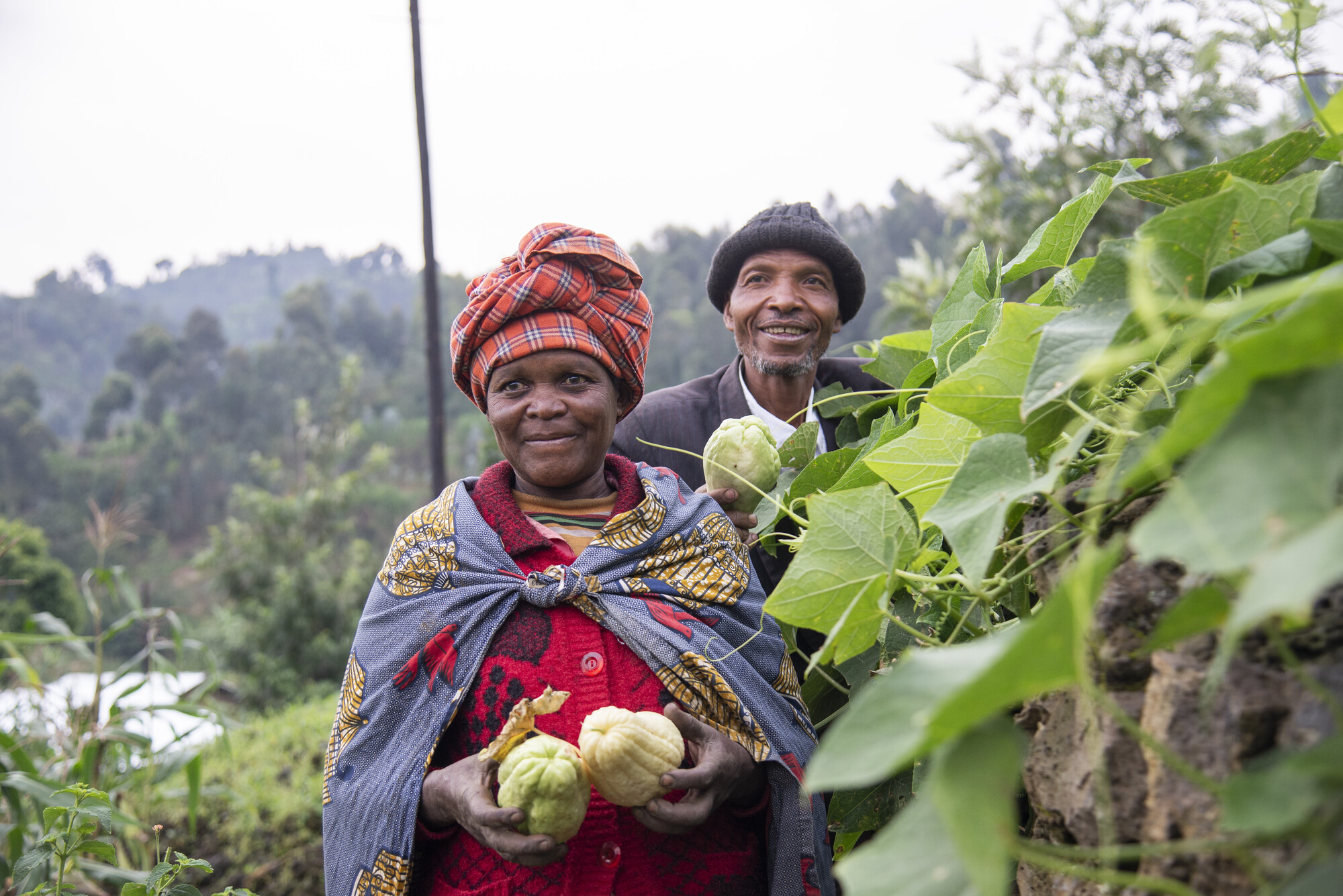 Couple planting a garden