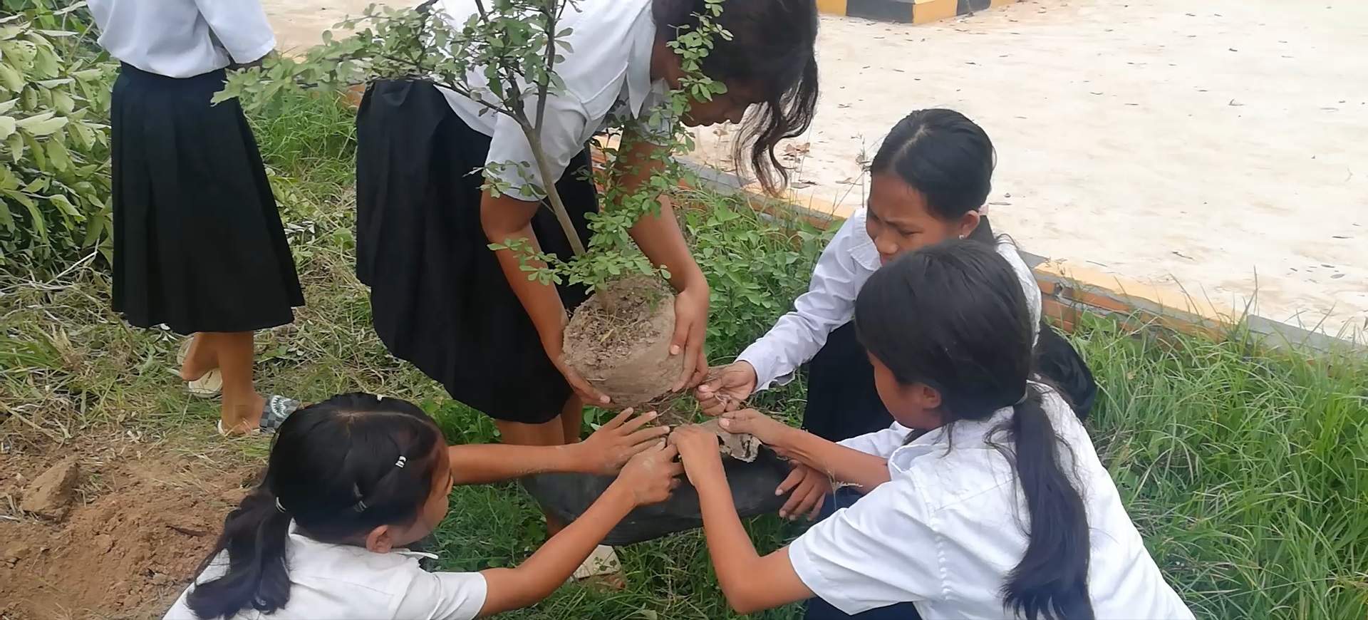 A group of girls planting a tree.