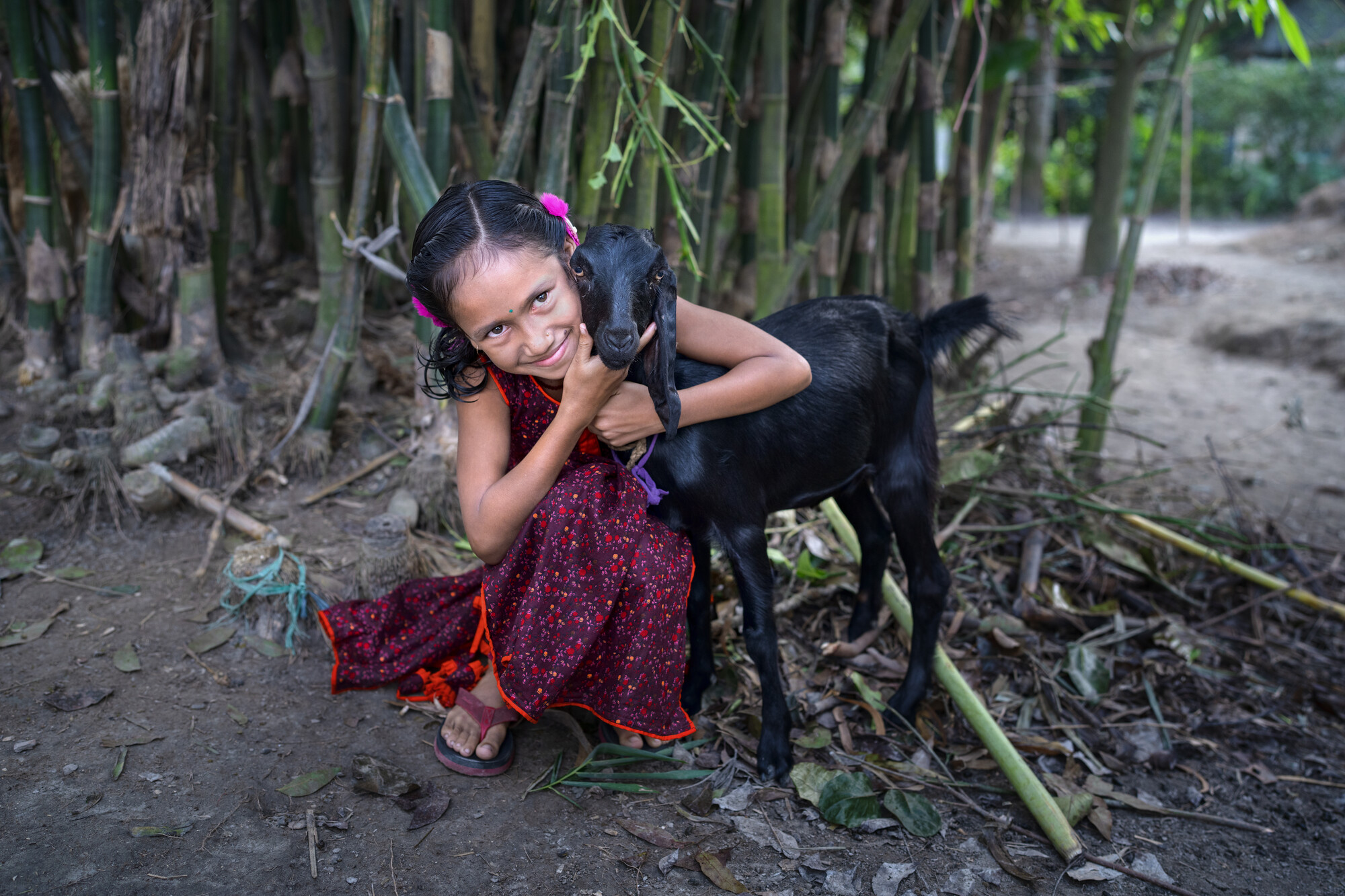 Sangita Sarkar Nodi, 9, is a daughter of a female farmer who uses MPUS “Smart House” techniques at her riverside home. She enjoys the animals her mother raises, especially the goat.