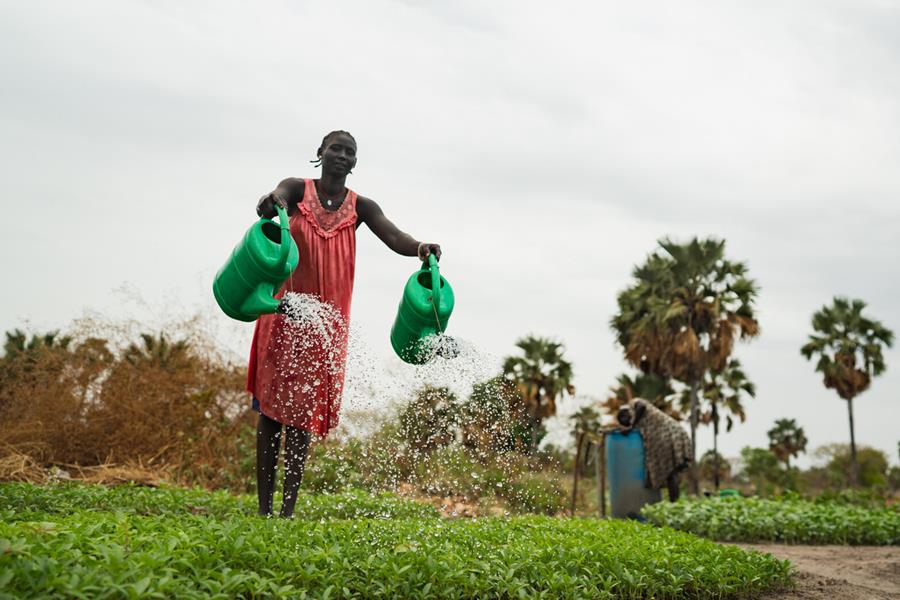 A woman watering her garden with two watering cans.