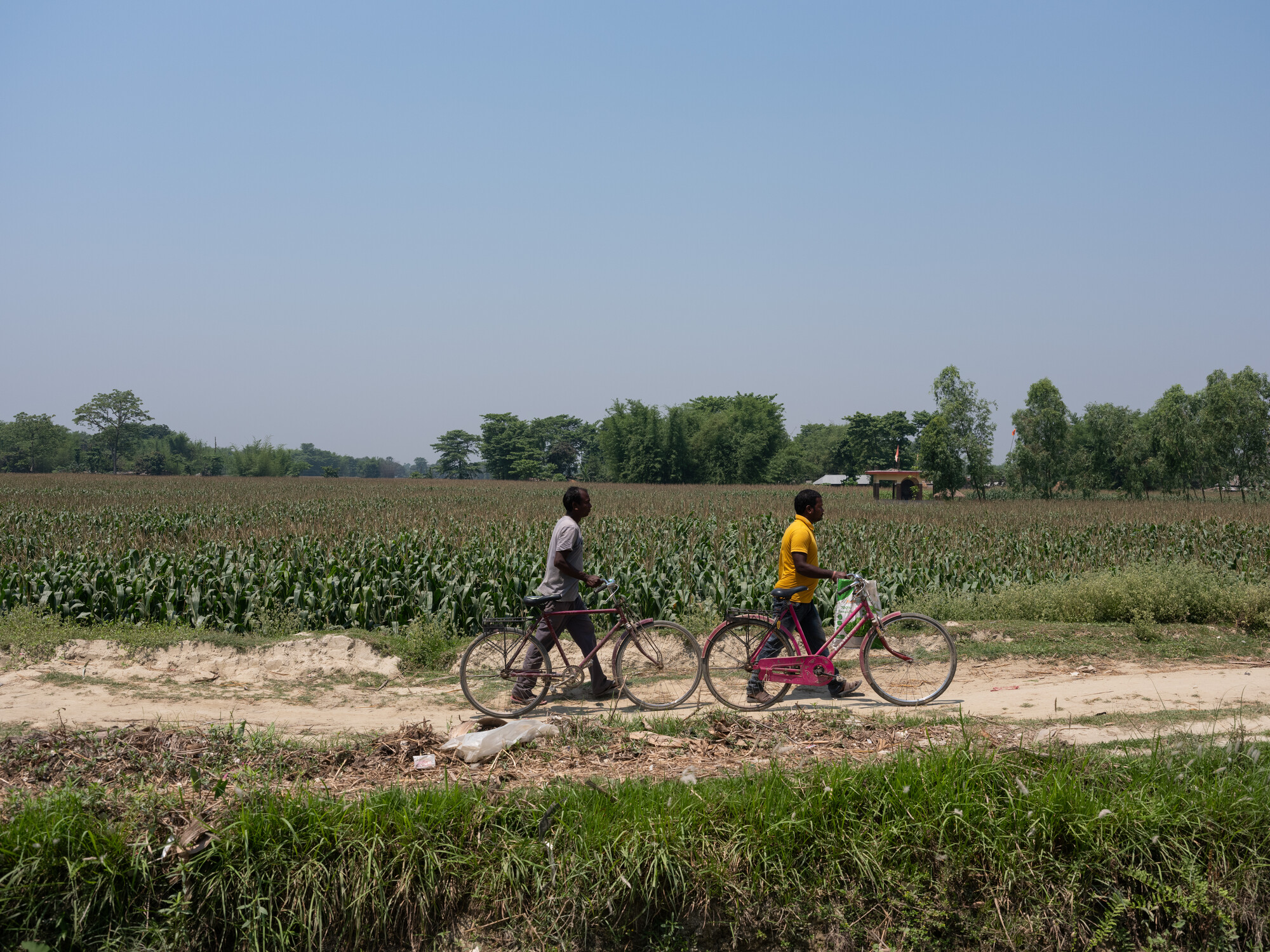  Shree Ram Mahato (42) and Ranjit Mahato Nuniya (35) are heading towards their farm in Jahada Rural Municipality- 5, Morang, Nepal on Wednesday, April 24, 2024. Both of them are members of Shree Ram Janaki Farmers Group.