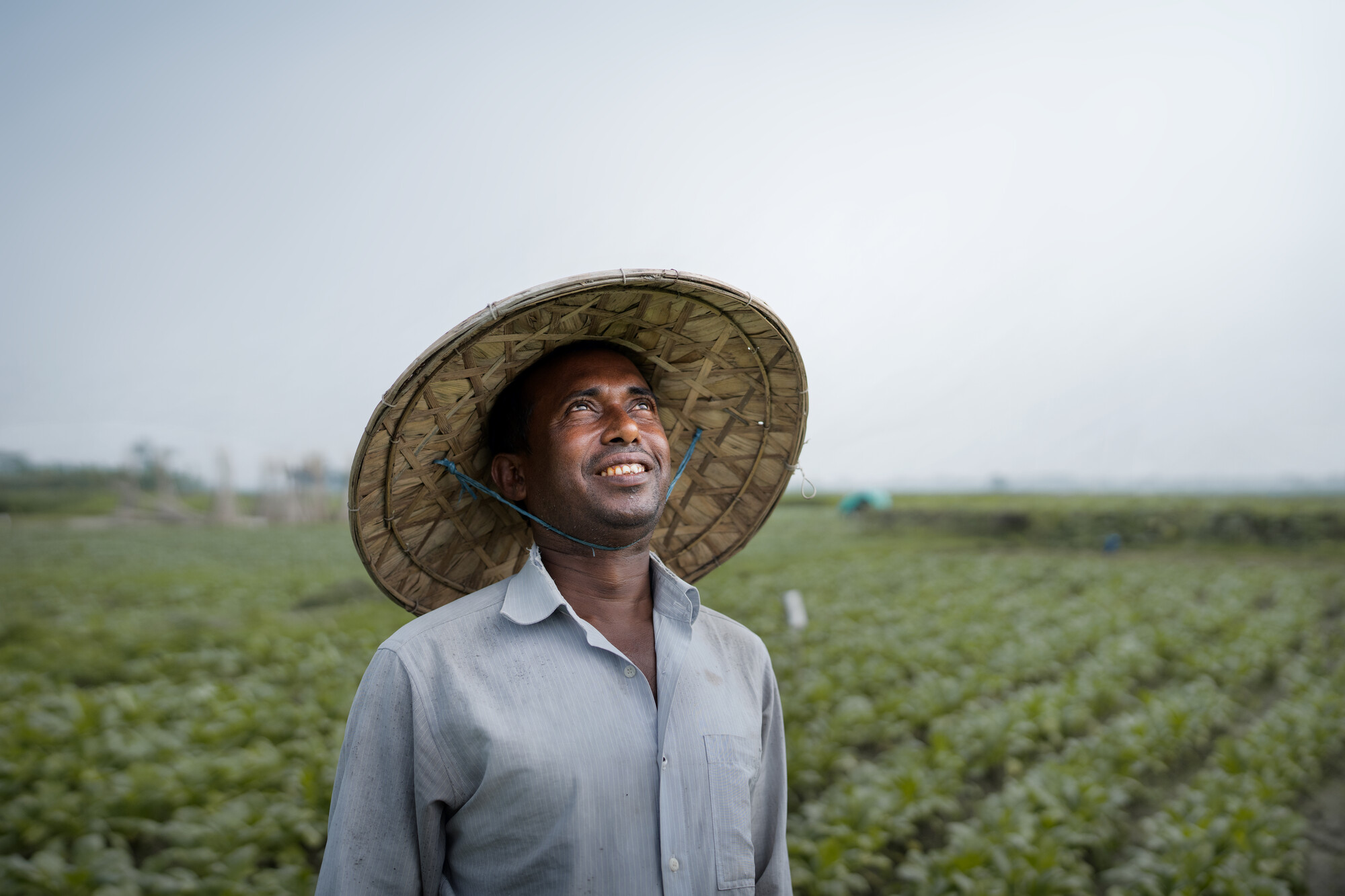 MD Rahim (38) harvests pesticide-free vegetables on his farm as part of a project initiative for environment-friendly agriculture implemented by PUP, funded by MCC. These vegetables will be sold later