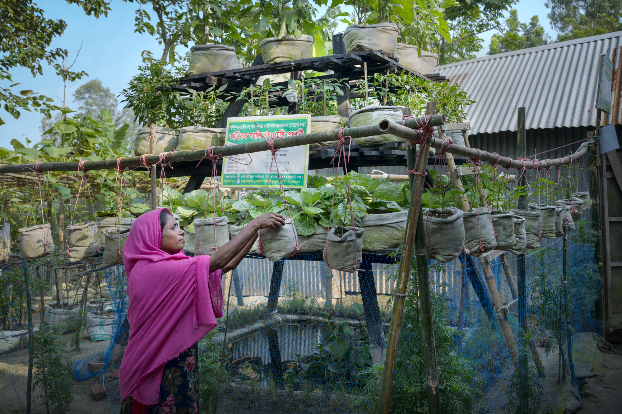 Mst. Hena Khatun in her “Smart House” in Bogura, Bangladesh. She produces vegetables and has livestock. The family keeps enough of their harvest for daily use and has started earning money by sell