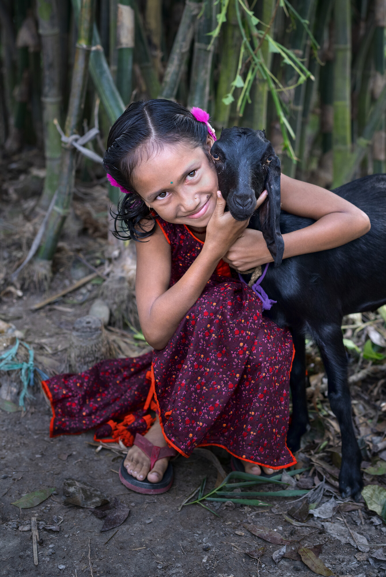 Sangita Sarkar Nodi (9.5) is a daughter of a female farmer who uses MPUS “Smart House” techniques at her riverside home. She enjoys the animals her mother raises, especially the goat.