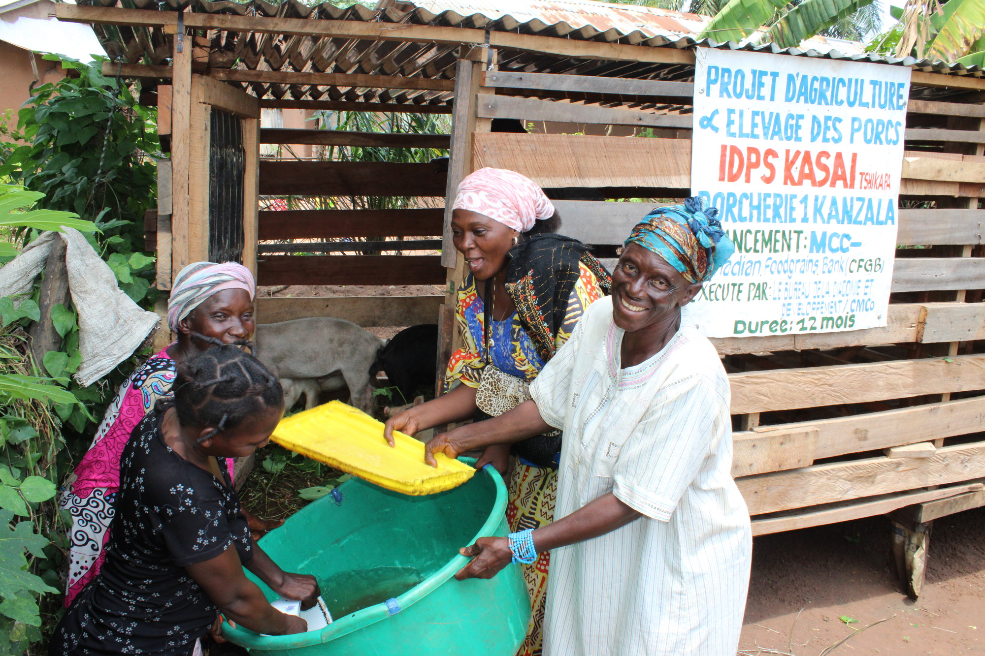 Caption: : From left to right, Kasengele Tshibitshiabu, Ntumba Bitu, Bilonda Kabengele and Mputu Muamalonga fill the water trough for their piggery in Tshikapa. All four women were displaced from thei