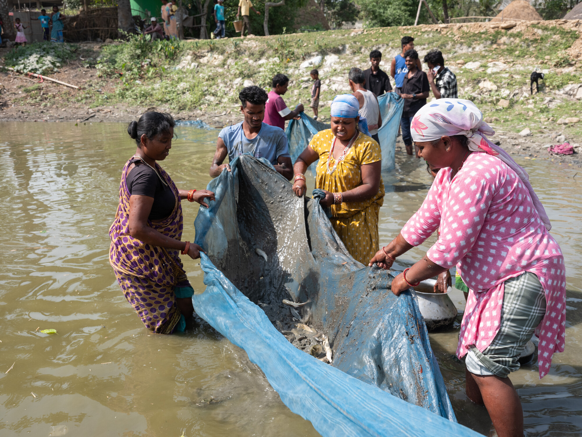 Members of Sanathbha Aaya Arjan Woman Farmers Group and villagers  are fishing at the pond in Santhal Tole, Jahada Rural Municipality- 5, Morang, Nepal on Tuesday, April 23, 2024. The Sanathbha Aaya A