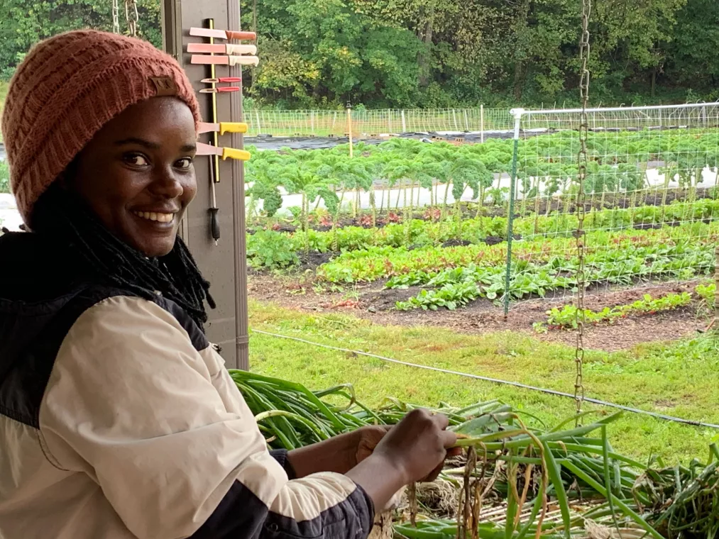 A person stands overlooking a garden while holding vegetables.