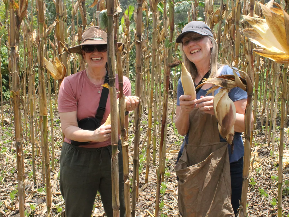 two women holding maize grown in a conservation agriculture project in Rwanda