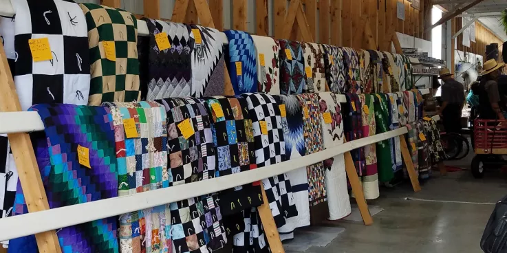 A large number of quilts on display before an auction