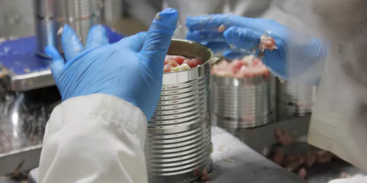 hand putting cubes of meat into metal cans