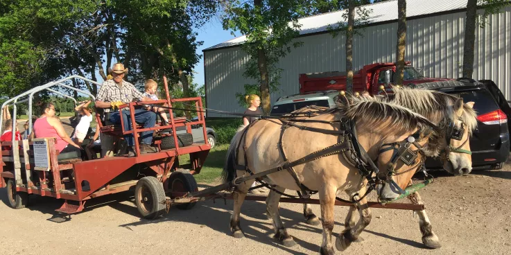 Horses pulling a wagon of families