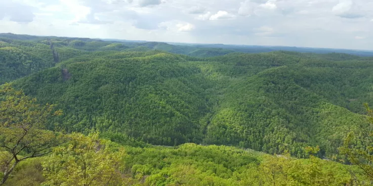 Scenery on Little Shepherd Trail in Harlan County, Kentucky.