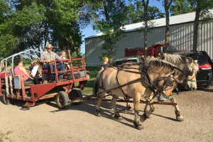 Horses pulling a wagon of families