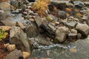 Stream passes through gray rocks