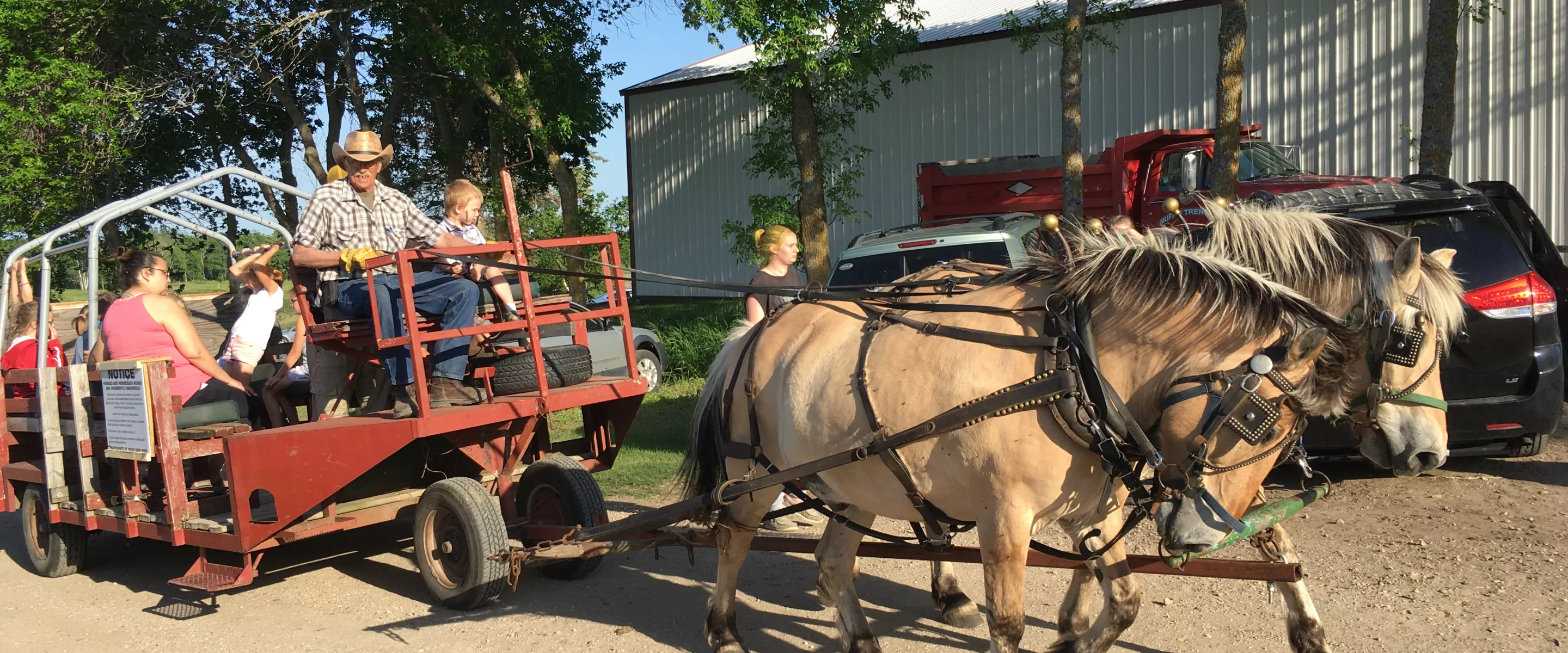 Horses pulling a wagon of families