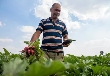 Farmer holding some freshly picked vegetablesthis is the block