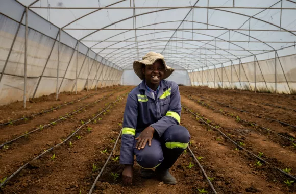 A person in a navy jumpsuit and floppy hat squats in a garden row in a greenhouse