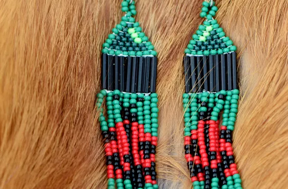 pair of beaded earrings