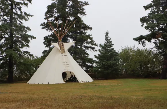 A rustic, cone-shaped dwelling in a green field framed by coniferous trees.