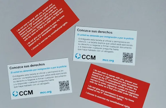 Four cards with information about rights for immigrants on the front and back.