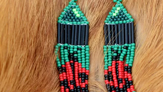 pair of beaded earrings